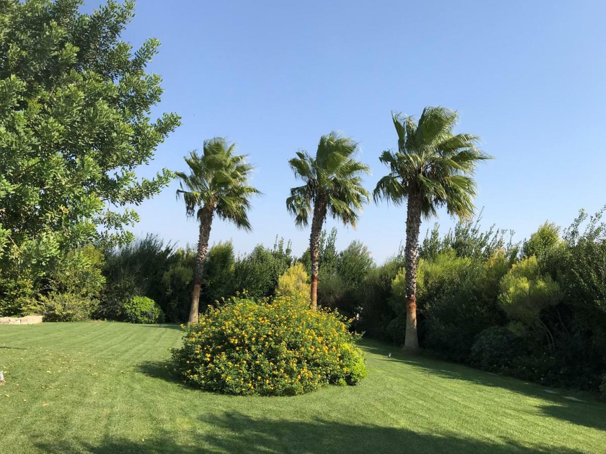 Relais Masseria Della Colomba - Agriturismo Francavilla Fontana Ngoại thất bức ảnh